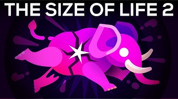 How to Make an Elephant Explode – The Size of Life 2