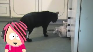 VICTORIA LOVESGAMES: Talking Kitty Cat 6 - Getting Along