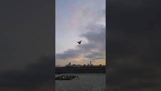 Mavi Mardin Bol Sefer Kisa Metraj Buda Boyle 😅