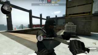 CS:GO (albatraoz earrape)