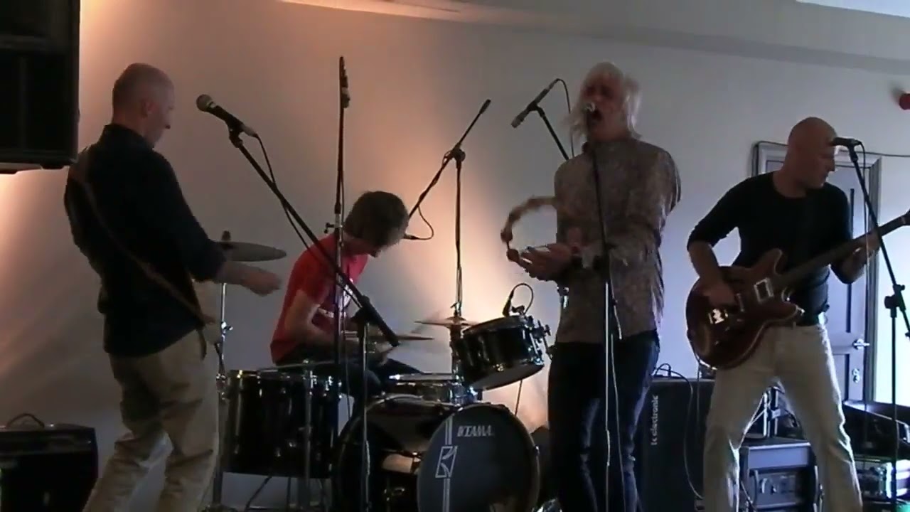 The Phrogs -Village Green Festival - 8th July 2017 - I Can't Shake It