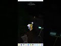 MORDIDA NOCTURNA - Buscando bugs . #roblox #digquest #mordidanocturna #gameplay