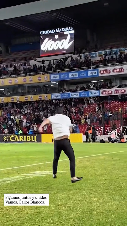 Fans JDT rindu Benjamin Mora tak? Sekarang dia di kelab Mexico Querétaro #jdtforall