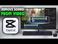 How to Remove Sound from Video in Capcut (2026)