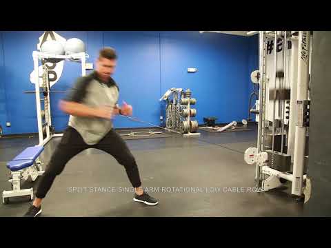Split Stance Single Arm Rotational Low Cable Row