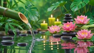 😴 99% Fall Asleep Deeply 🌸 Relaxing Zen Garden Water Sounds