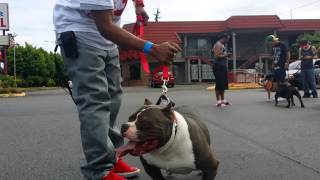 I-5 Bully Connection