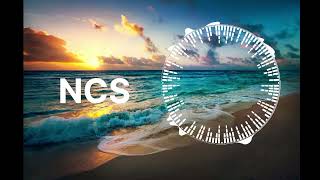 Howl U0026 Idle Days  Grave Dnb Ncs Copyright Free  