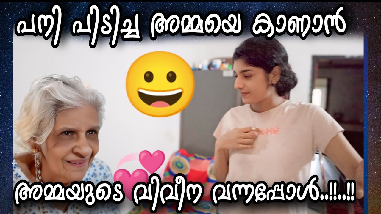  പനിപിടിച്ച അമ്മയും🥰 വിവീനയുടെ വരവും പ്രായവും..?! 