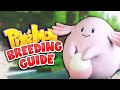 The Ultimate Pokemon Breeding Guide! | Minecraft: Pixelmon