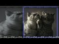 براسكم طكن فشكنه ريمكس مميز مطلوب 