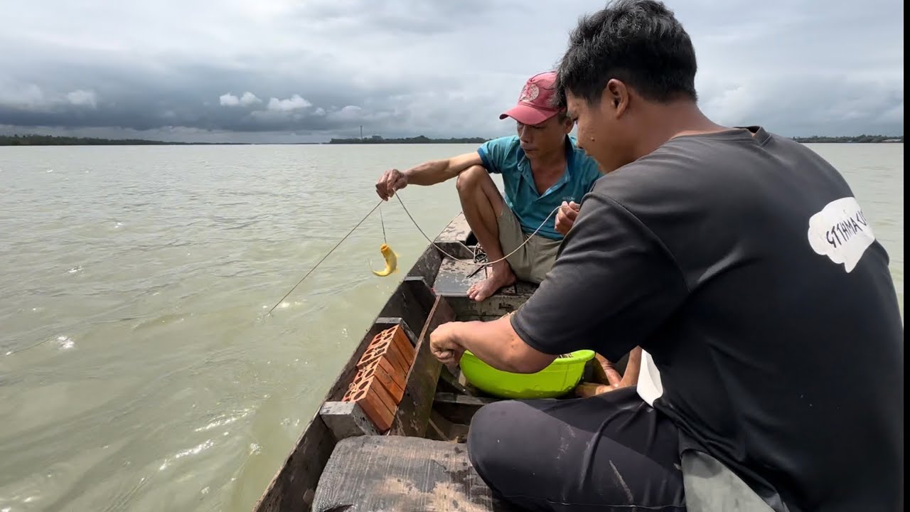 Đánh Câu ngày mưa không ngờ dính được Cá Út Thép quá ngon 