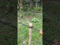 Amazing Rope Knot Tricks Every Camper Should Know #RopeKnots #KnotTutorial #survivalskills