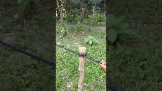 Amazing Rope Knot Tricks Every Camper Should Know #RopeKnots #KnotTutorial #survivalskills
