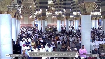 أواخر سورة مريم : ٨٣ - لآخرها | صلاة المغرب ٦ شعبان ١٤٤٥ هـ | فضيلة الشيخ د.صلاح البدير