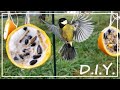 DIY - Boule de graisse pour Oiseaux - 100% Naturelle