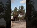 Beautiful wadi of Saudi Arabia #saudiaraibia