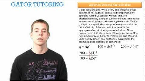 Log Linear Demand Approximation 2