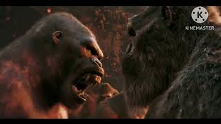 I Think I Made Him Himself Godzilla X Kong Meme