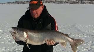 Lake Trout through the Ice at Fort Peck, JawJacker Video