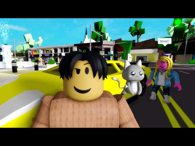 fyp#brookhaven#roblox#viral, premium brook haven