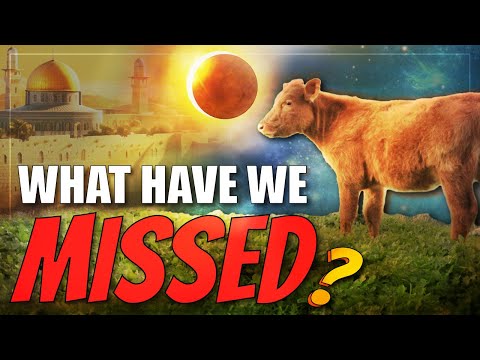 Red Heifers & Eclipses: The Temple Prophecy we're missing - Torah Portion: Tzav