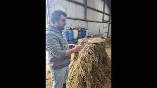 On the Way Back to Full-Time Farming Using Nature and Biology in Co. Kerry - Ambassador Tommy Reidy