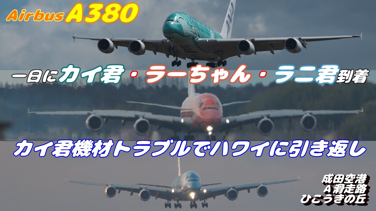 4K】成田空港 ひこうきの丘 ANA超巨大旅客機エアバスA380 カイ君・ラー