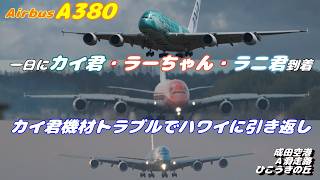 4K】成田空港 ひこうきの丘 ANA超巨大旅客機エアバスA380 カイ君・ラー