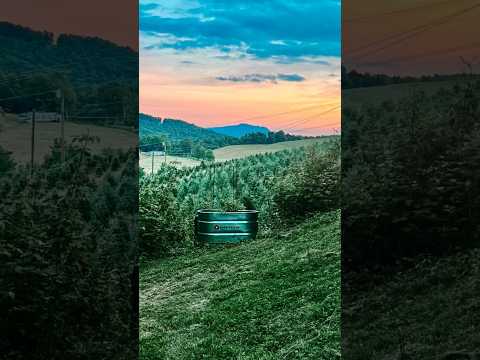 6104 Howards Creek Road, Boone, NC home video tour