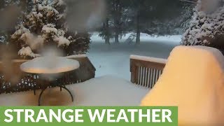 Time lapse captures historic blizzard in the US Northeast