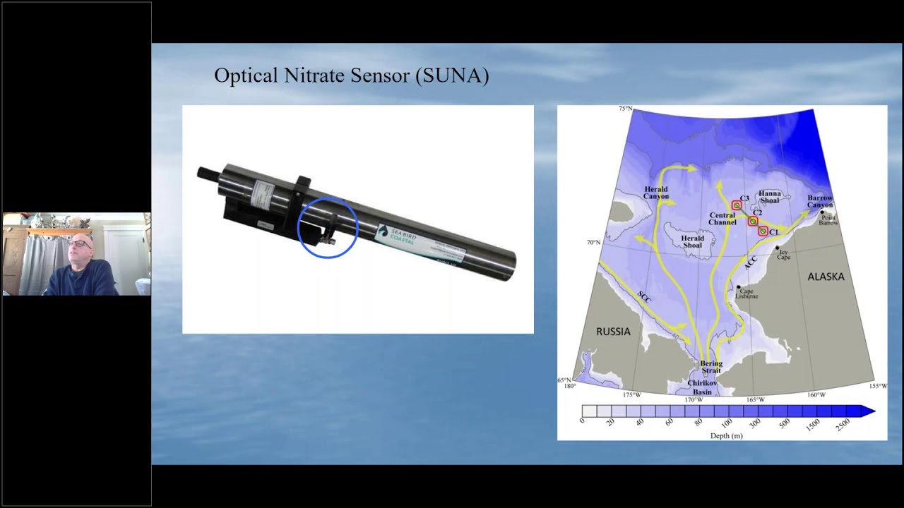 A dive into Chukchi Sea nutrient cycling