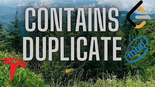LeetCode 217 . Contains Duplicate | Tesla Interview Practice