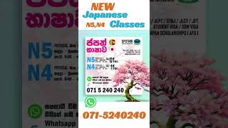 New Japanese Classes are starting...!