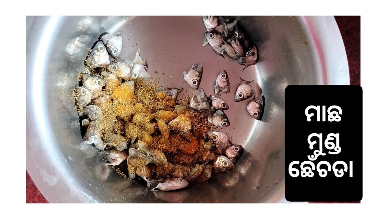 ସ୍ବାମୀଙ୍କ recipe ମାଛ ମୁଣ୍ଡ chhenchada ଯିଏ ଖାଇଚି ସିଏ ଜାଣିଚି😱 😋 #fish # ...
