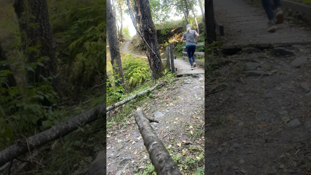 Beating the heat early run in the forest 