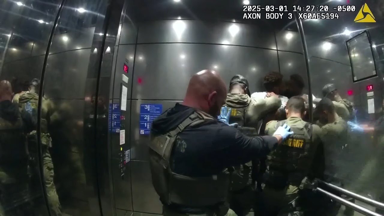 Беспорядки в международном аэропорту Голливуда закончились хаотичным арестом.