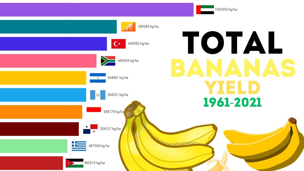 Total Bananas Yield 19612021 YouTube