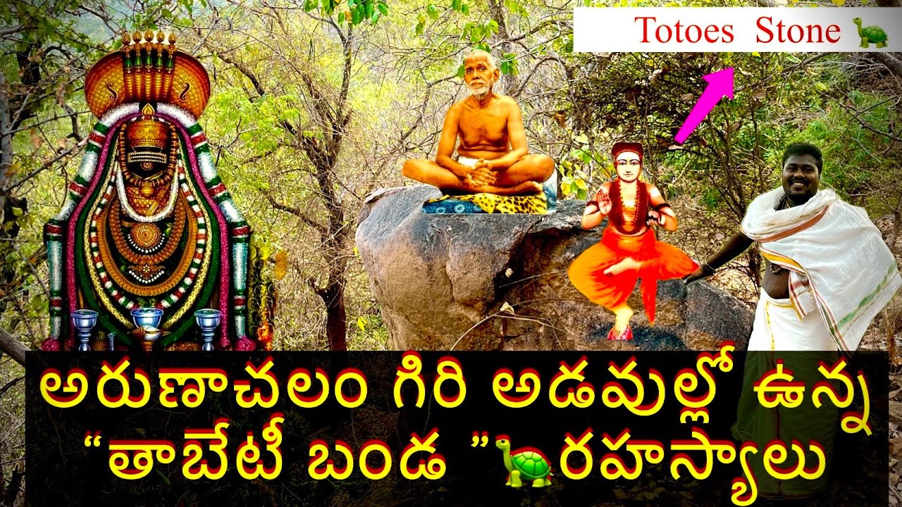 అరుణాచలంలొ “సిద్ధుల యోగ రహస్యాలు విన్న |🐢“తాబేటీ బండ ”🪨 ,రహస్యాలు మీకోసం |Totoes Stone🙆