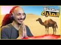 نجوم الصحراء 5 ترويض الجمل واكتشاف واحة جديدة Starsand 