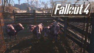 Водяні корови, фермерство. Санктуарі-Хіллз. Будівництво. Моди . Fallout 4. №45