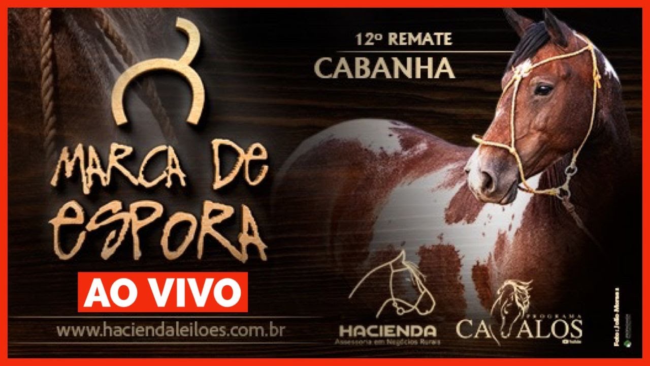 12° REMATE CABANHA MARCA DE ESPORA YouTube