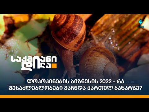 ლოკოკინების ბიზნესის 2022 - რა შესაძლებლობები გაჩნდა ქართულ ბაზარზე?