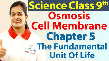 Osmosis - Cell Membrane - Chapter 5 - The Fundamental Unit Of Life - Science Class 9