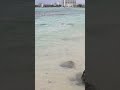 #god #beach #waves #peacefulwaves #healing #relaxation #healingsounds #stressrelief #guam