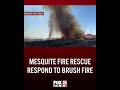Mesquite Fire Rescue responds to brush fire