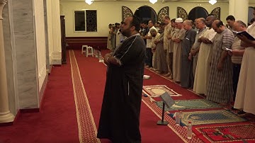 سورة الممتحنة برواية قالون تلاوة الشيخ بلال بن محمود