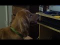 Beginning of video