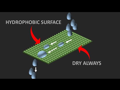 Video: Waarom is leucine hydrofoob?