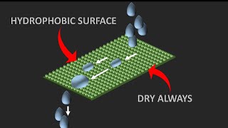 Science behind Hydrophobic technologies | The lotus effect